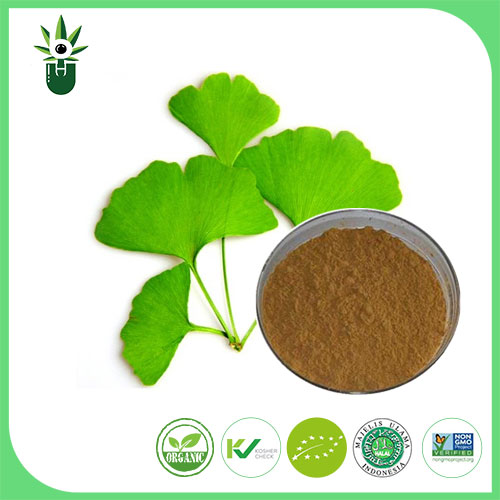 Quais sintomas podem ser usados ​​o extrato de folhas de biloba para aliviar?