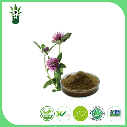 Extrato de Medicago sativa L