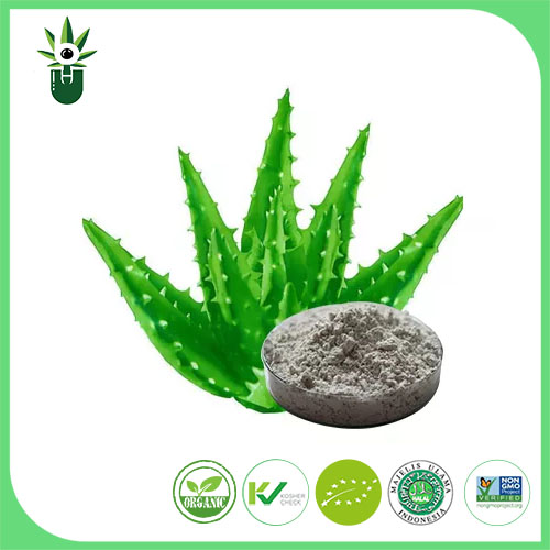 Extrato de Aloe Vera