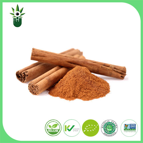 Extrato de Cinnamomum Cássia