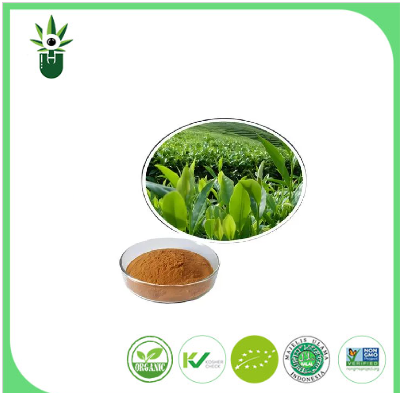 Extrato de chá verde natural 98% l