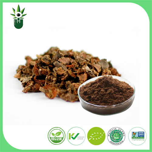 Extrato de Rhodiola Rosea